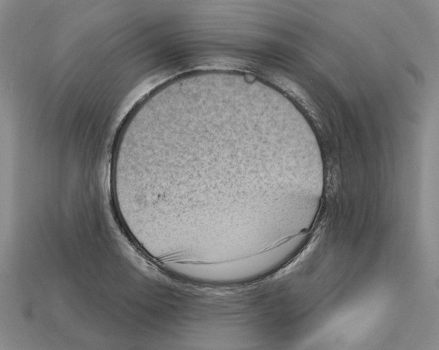 X0000114431130200911131326