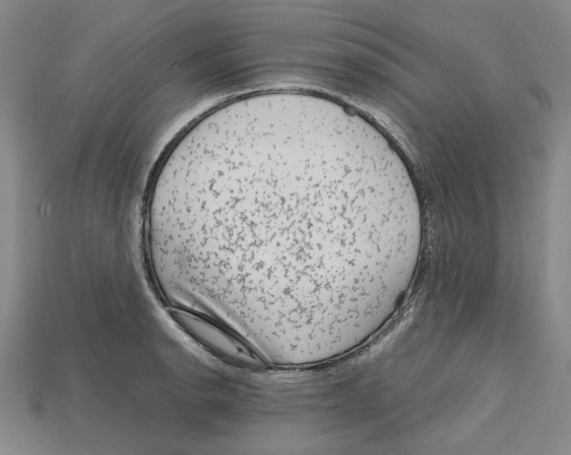 X0000114431134200911131326