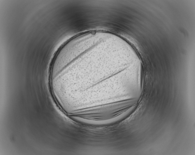 X0000114431135200911131326