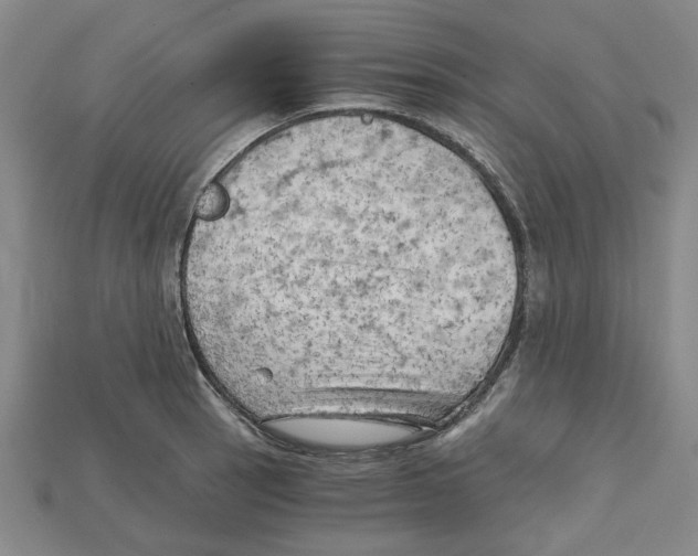 X0000114431137200911131326