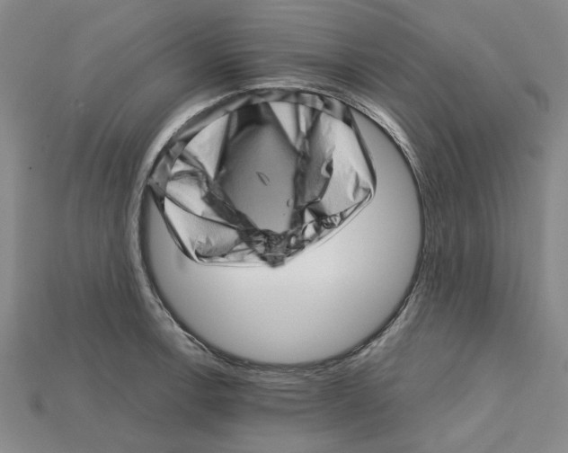 X0000114431138200911131326