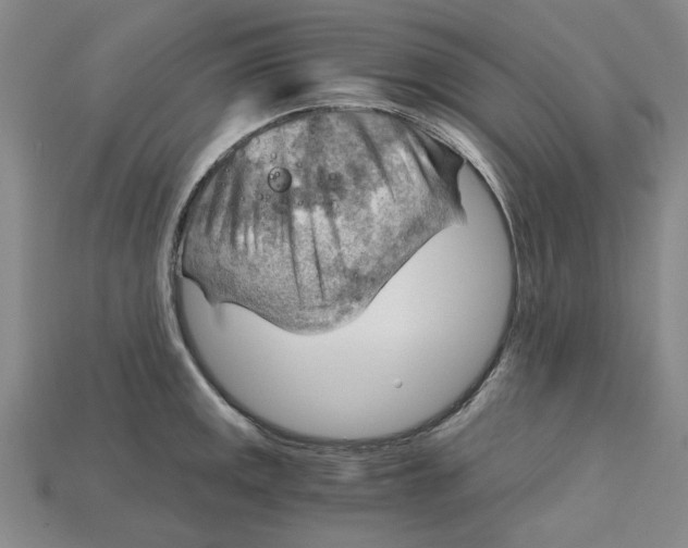 X0000114431141200911131326