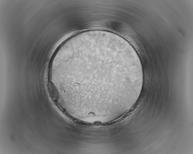 X0000114431142200911131326