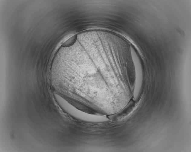 X0000114431145200911131326