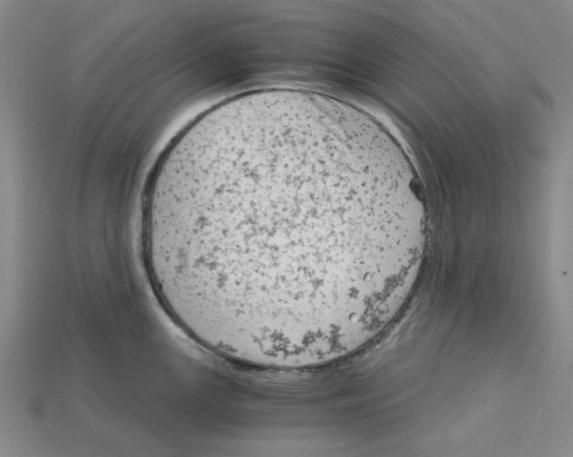 X0000114431147200911131326