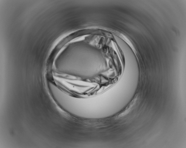 X0000114431149200911131326