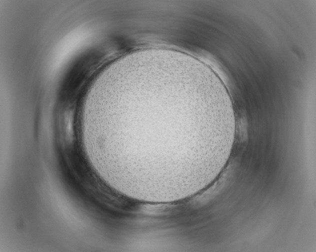 X0000114431150200911131326