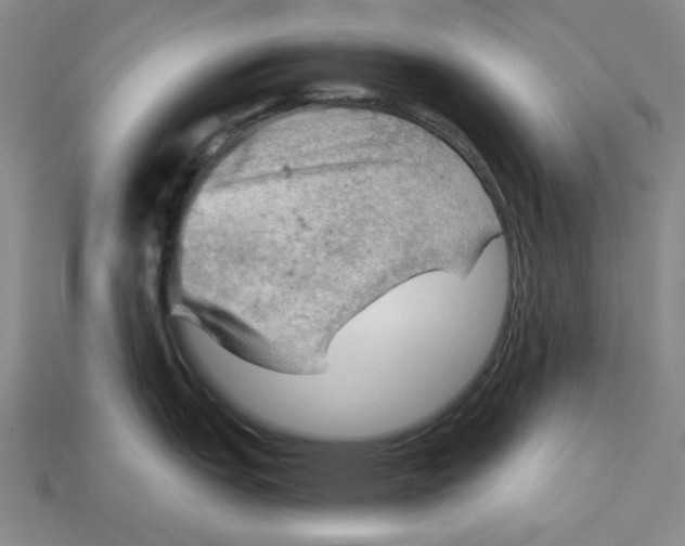 X0000114431151200911131326