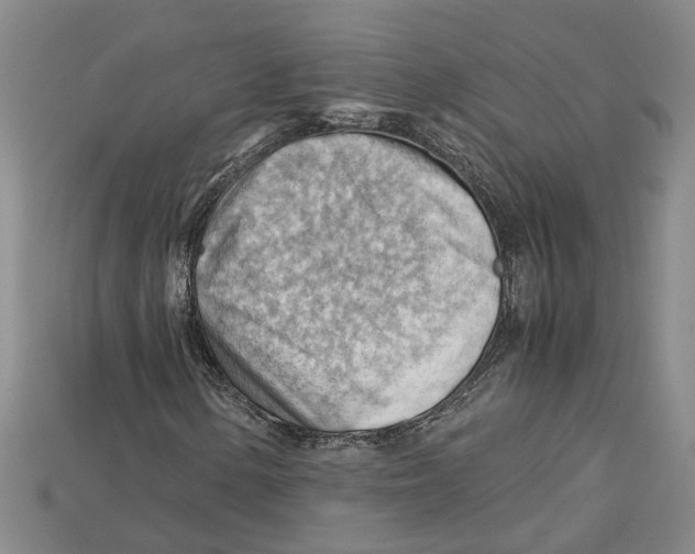 X0000114431154200911131325