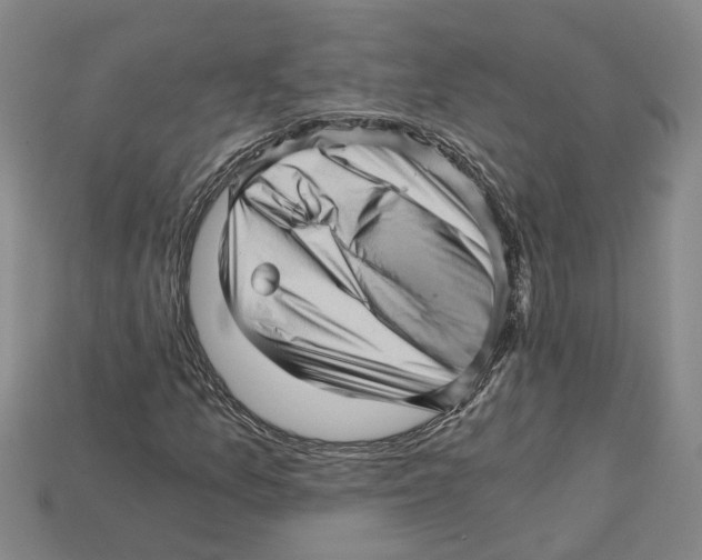 X0000114431157200911131325