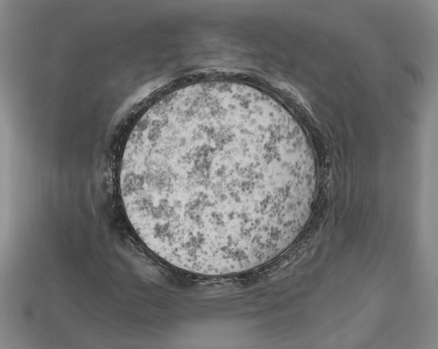 X0000114431159200911131325