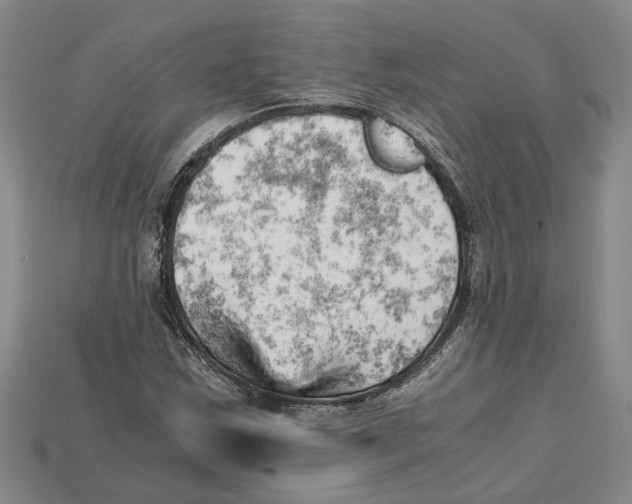 X0000114431163200911131325