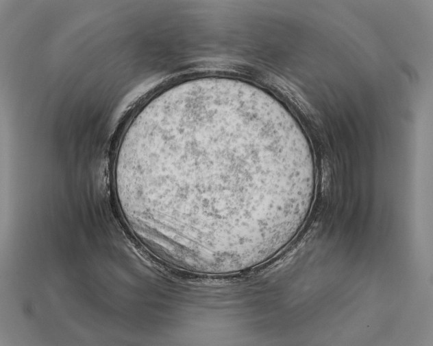 X0000114431164200911131325