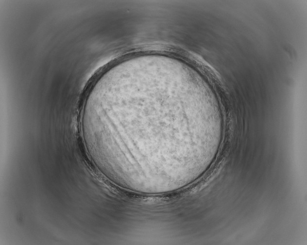 X0000114431166200911131325