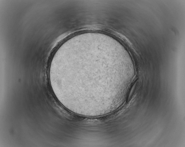 X0000114431168200911131325