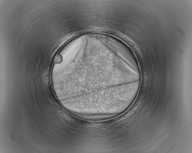 X0000114431170200911131325