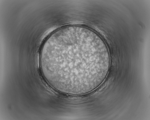 X0000114431171200911131325