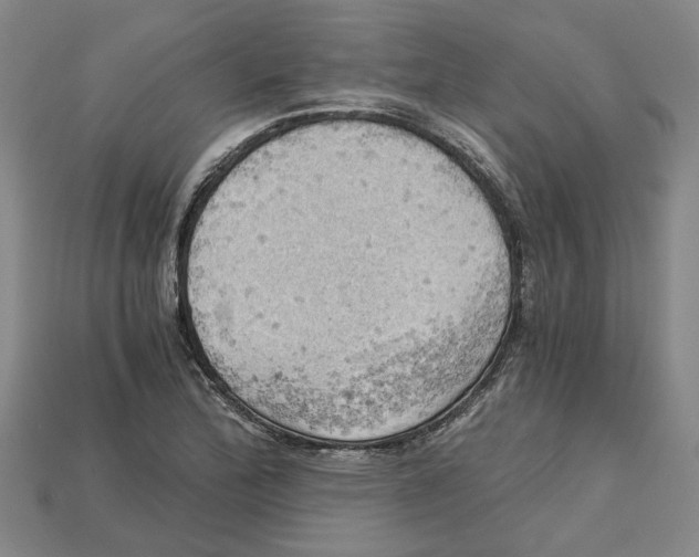 X0000114431172200911131325