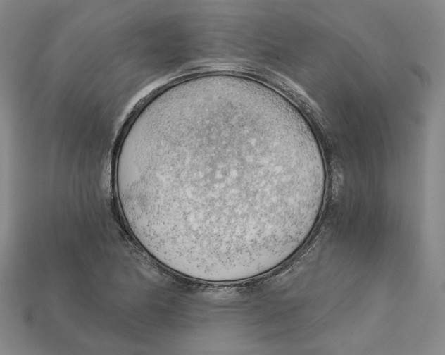 X0000114431174200911131325