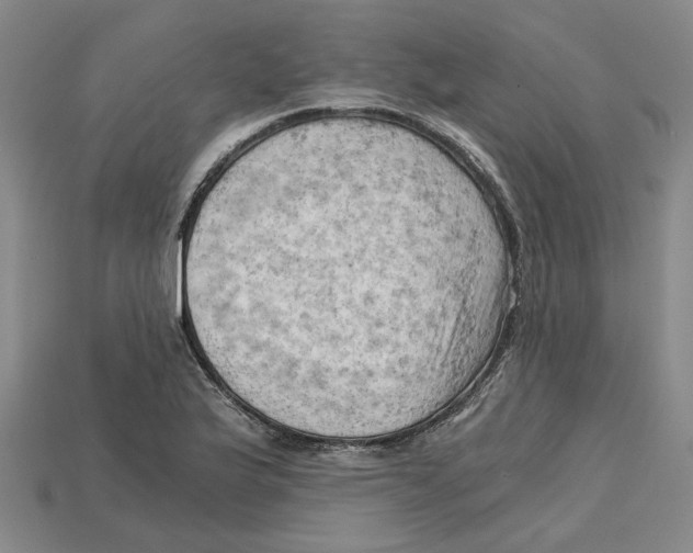 X0000114431175200911131325