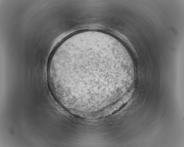 X0000114431176200911131325