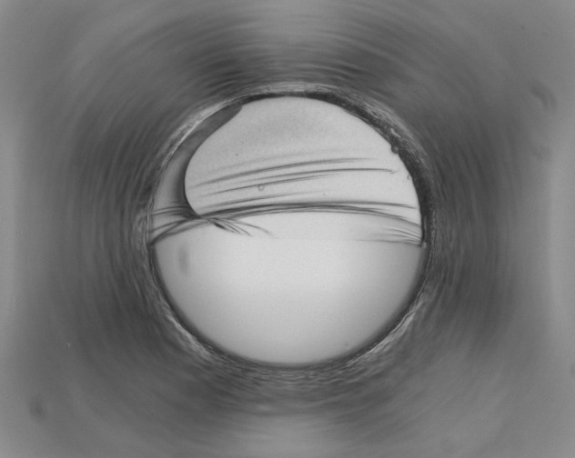 X0000114431177200911131325