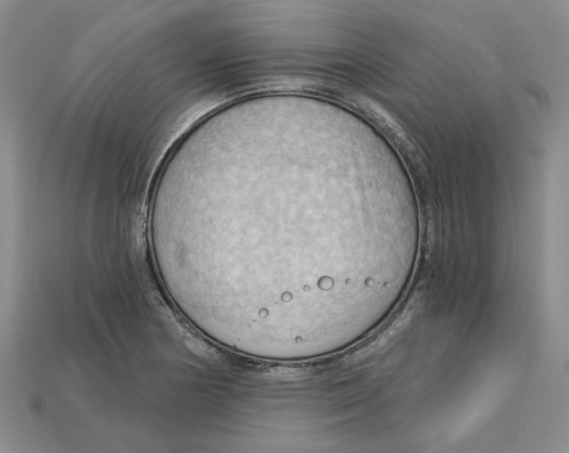 X0000114431178200911131325