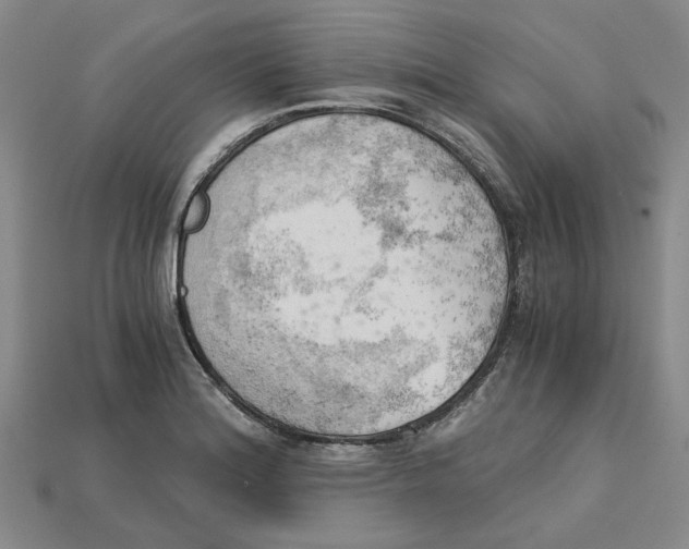 X0000114431180200911131325