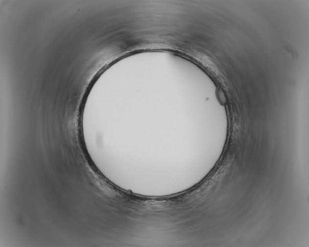 X0000114431181200911131325