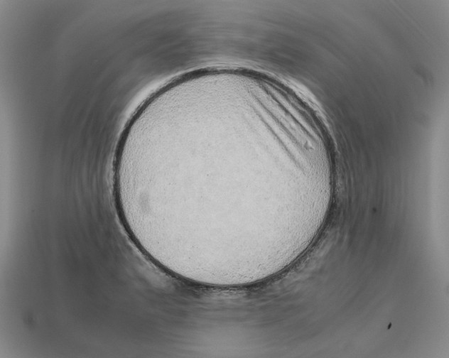 X0000114431183200911131325