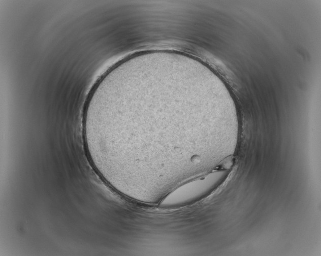 X0000114431184200911131325