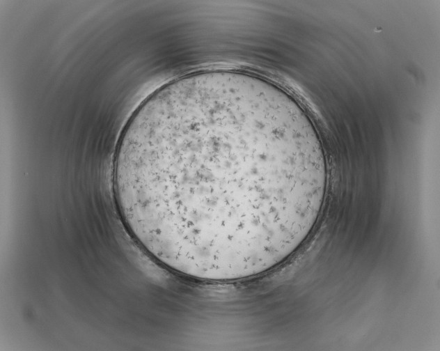 X0000114431186200911131325