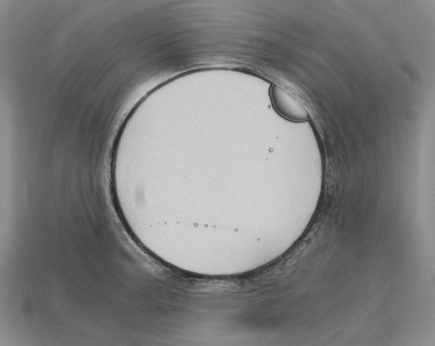 X0000114431187200911131325