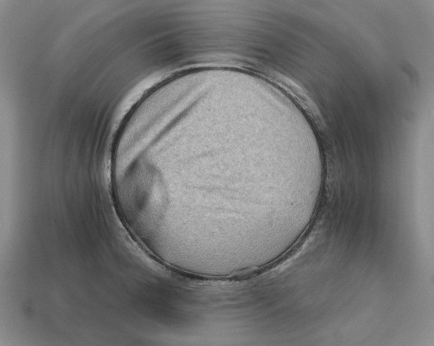 X0000114431188200911131325
