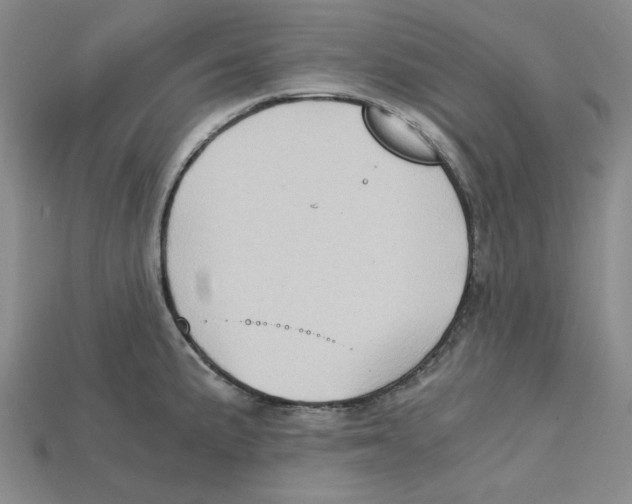 X0000114431191200911131325