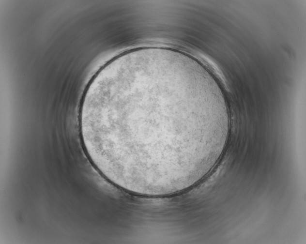 X0000114431192200911131325