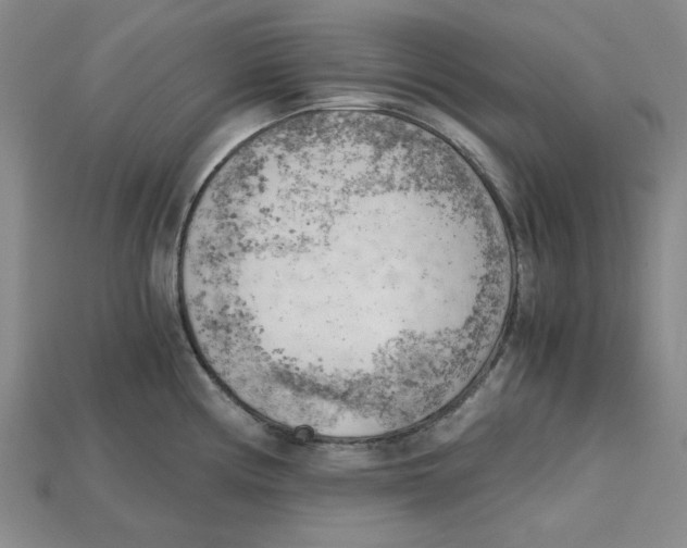 X0000114431194200911131325