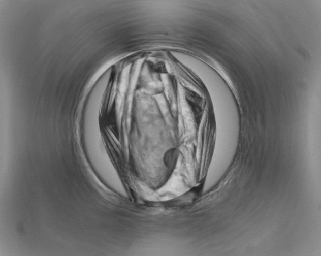 X0000114431195200911131325