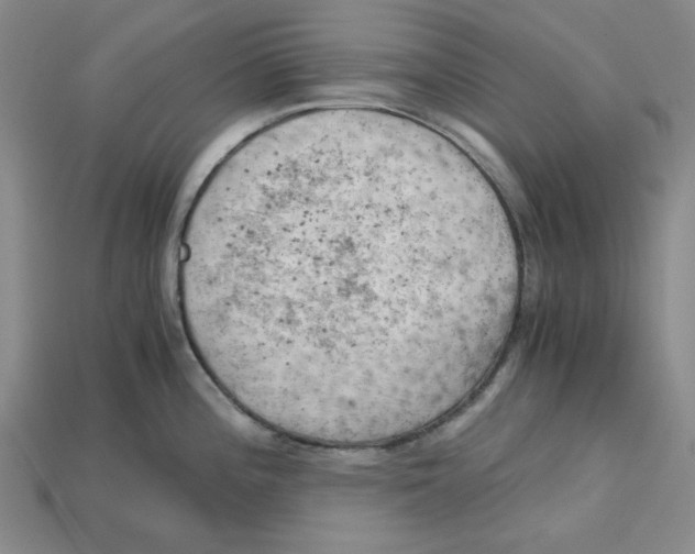 X0000114431196200911131325