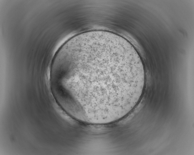 X0000114431198200911131325