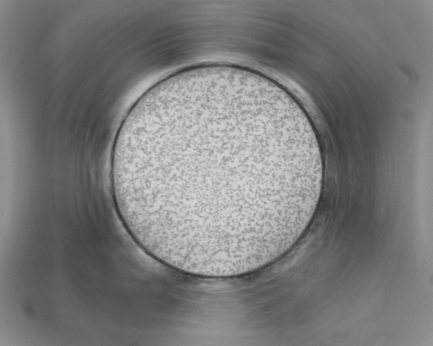 X0000114431199200911131325