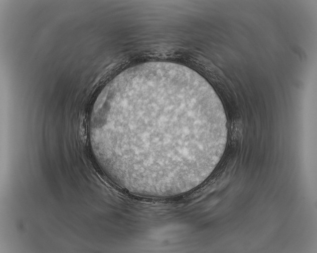 X0000114431202200911131324