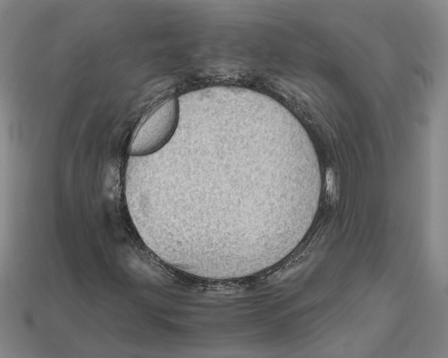 X0000114431203200911131324