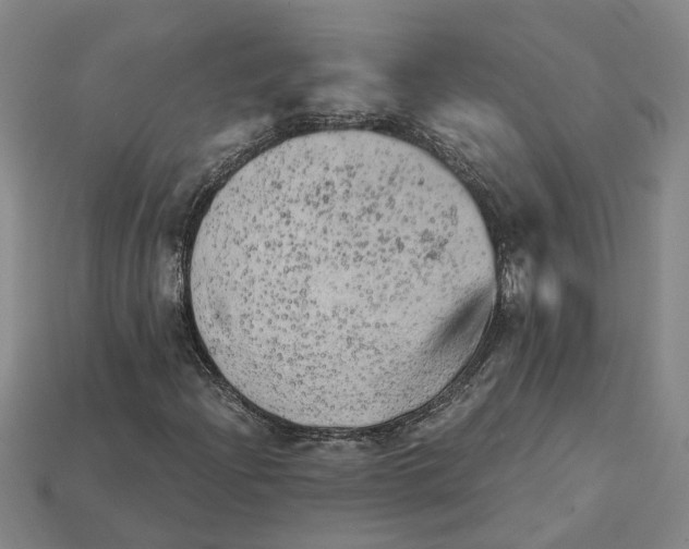 X0000114431204200911131324