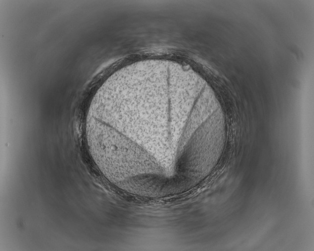 X0000114431206200911131324