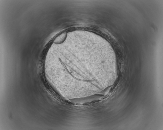 X0000114431208200911131324