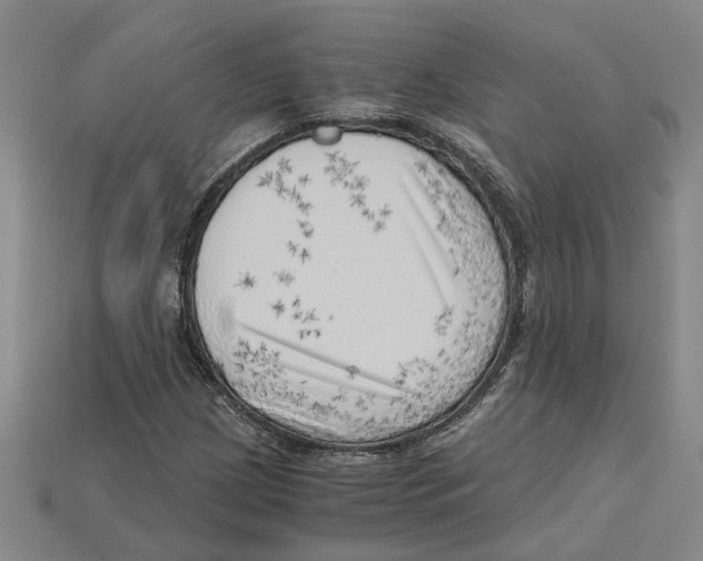 X0000114431209200911131324