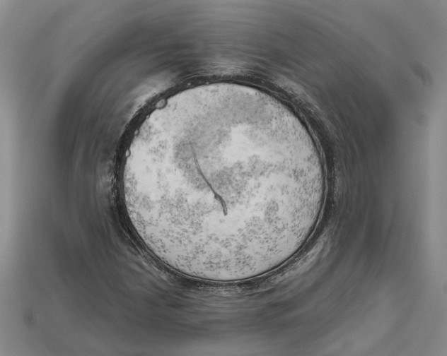 X0000114431210200911131324
