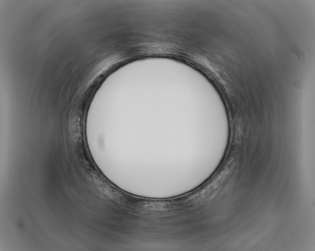 X0000114431211200911131324