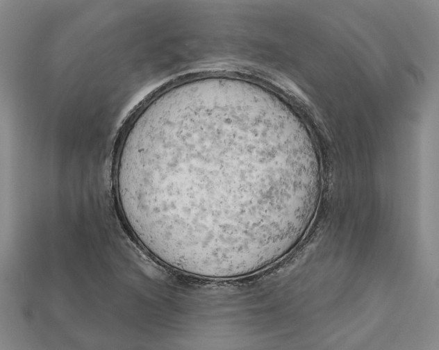 X0000114431216200911131324